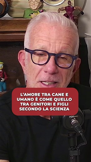 Il legame cane-umano è come quello genitore-figlio: ora lo ha confermato anche la scienza 🐶 ➡️Seguici per non perdere classifiche, aneddoti e curiosità nuove ogni giorno e ascoltaci su Spotify e YouTube 🎧 #podcast #guidodallesette #cani #canifelici @Dionigi Andreano