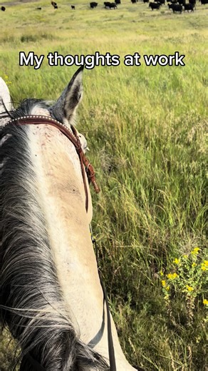 #cowboy #funtocowboy #funtocowboy #staypunchy #fyp #buckinghorses #bronk #elkharthorseauctions#fyp #foryou #rodeo #rodeofashion #rodeolife #rodeotime #rodeostyl #rodeowrecks #rodeolife #rodeotime #rodeodrive #rodeocowboy #rodeostyle #rodeophotography#rodeoqueen #rodeocrowns #rodeowrecks #rodeohouston #bullridingfans #bullridingsayings #bullridingworkout #bullridingstyle #bullridingdream #bullridingbuckle #bullridingtraining #bullridingphotos #bullridinge #bullridingmania #bullridingintherockies