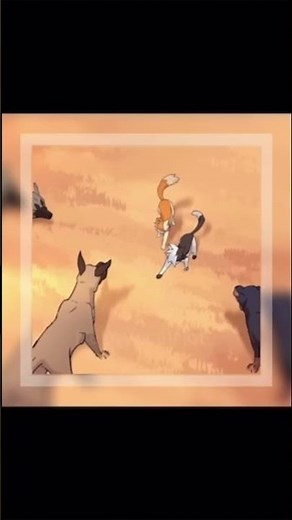 Swiftpaw edit :D #warriorcats #cats #edit