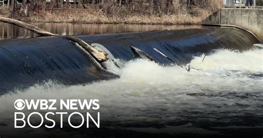 Removing Charles River dams would improve water quality, advocates say