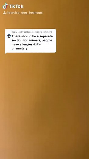 Reply to @skygoldenselections #servicedog#servicedogsintraining#sdit#sd#dogs#privilaged#ableist#segregation#fyp#REMDreamCheck#HolidayMusic