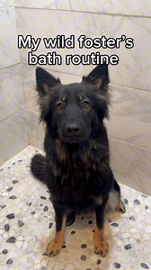 3.3M views · 139K reactions | Do you think Rue enjoyed it? 識 Rue and...