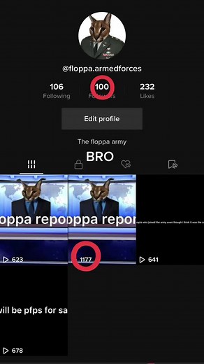 This is insane#floppa #floppas #floppaarmy #army