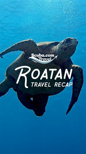 The warm Caribbean water and thriving reefs... ♥️ That’s what Scuba.com Travel is all about. #scuba