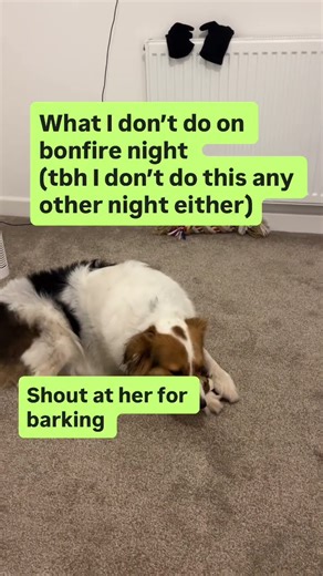 What I don’t do on Bonfire Night (or tbh any other night either)