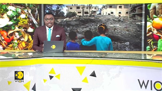 Humans waste over one billion meals a day: UN