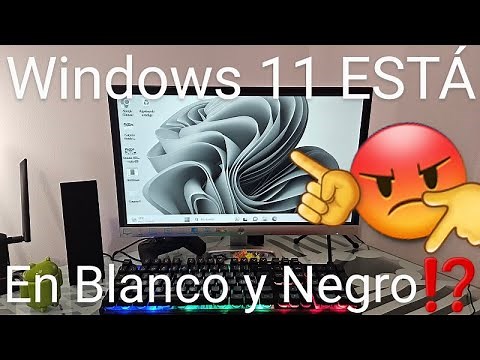 ⬜⬛💻 How to FIX BLACK AND WHITE SCREEN PROBLEM IN WINDOWS 11 EASILY and FAST