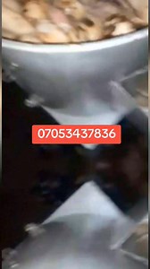 Get your Cassava Processing Machine at Farmergiant Nigeria Limited at shikini price ✅Stainless steel(NAFDAC APPROVED) ✅Non rustable ✅For industrial purpose ✅Saves labour ✅Stress free ADVANTAGES of Garri Processing machines: 📌Improved Efficiency ✅Increased production rate. ✅Reduced manual labor costs 📌Enhanced Quality ✅Consistent quality ✅Better peeling and grating 📌Cost Savings ✅Reduced waste ✅Lower maintenance costs 📌Increased Versatility 📌Improved Safety ✅Reduced risk of injury ✅Improved