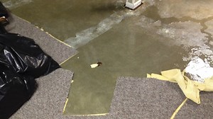 1.9K views · 11 reactions | Thank you for trusting us with your home!...