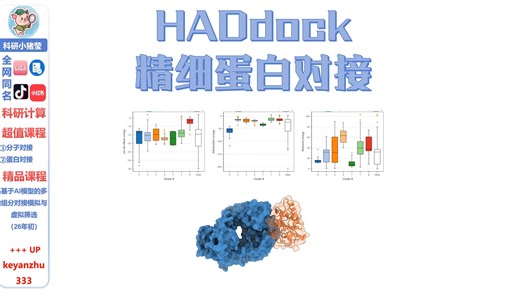 HADdock精细蛋白对接