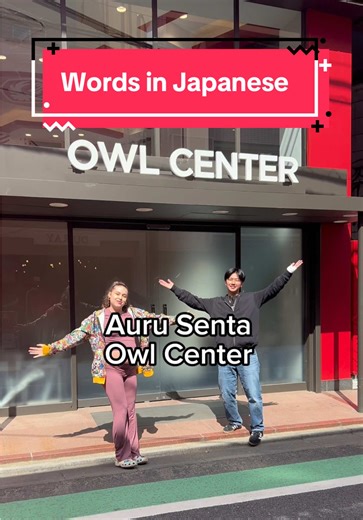 Learn Japanese Vocabulary with TUJ’s Owl Center