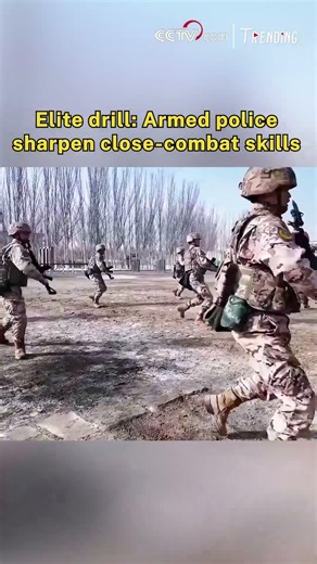 Elite drill: Armed police sharpen close-combat skills