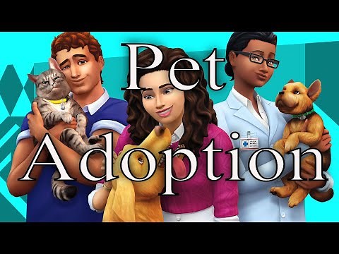 Sims 4 Adopting A Pet The Different Ways You Can Do It! How To Adopt A Pet!