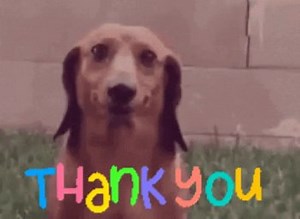 Thank You Gifs: Free Download [310 ]