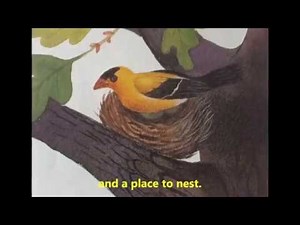 A Tree Can Be Read Along