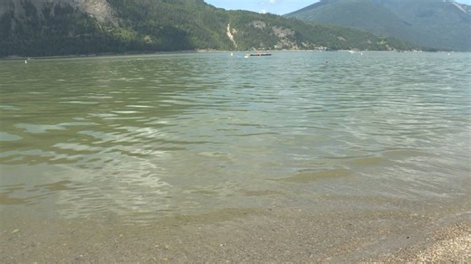 Large algae bloom detected in Shuswap Lake