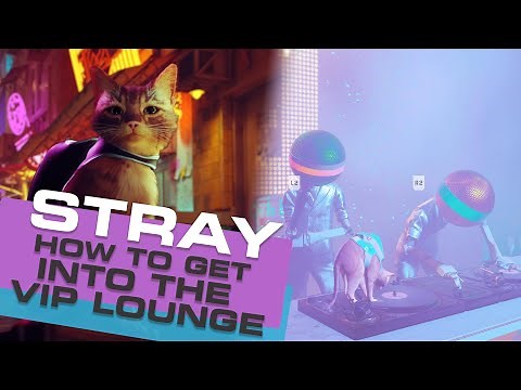 VIP Lounge - How To Get Into The VIP Lounge On Stray