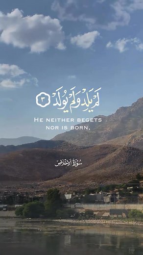 Fadi AL Omari on Reels