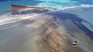 MASSIVE OIL SPILL: The Indian Ocean island of Mauritius has declared an environmental emergency after tons of fuel began leaking from a Japanese cargo ship that ran aground in protected waters, now threatening thousands of species. Tom Llamas reports. | ABC World News Tonight with David Muir