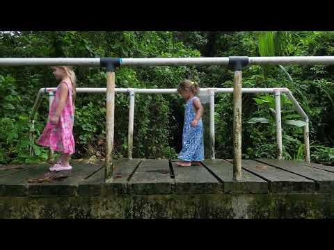 Birds Eye View Part 6