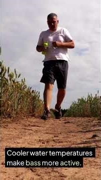 Clear or Murky? This Fly Fishing Bait Mistake Is Costing You Fish