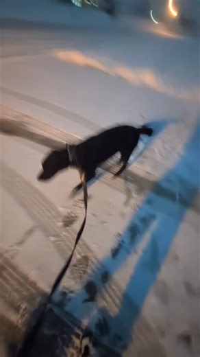 CPR Canine Training LLC on Reels | Facebook