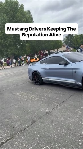 15K views · 104 reactions | Even the nicest mustangs will still get wrecked. | Supercar Fails | Facebook