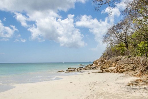 Complete Martinique snorkeling guide