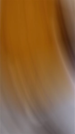 Auction day action! The lanes were hot but don’t forget to check out our 2nd chance specials! #dealersautoauction #bestautoauction #daamobile #drive #gulfcoast #workingvacation