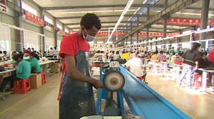 Africa's business potential