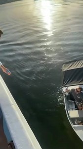183K views · 349 reactions | How not to do it! Thanks to Qualified Captain: | Downrigger Shop | Facebook