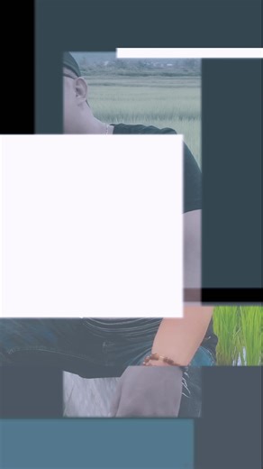 petani maju petani organik #petanimilenial #petaniorganik #fyppppppppppppppppppppppp #ftikto #