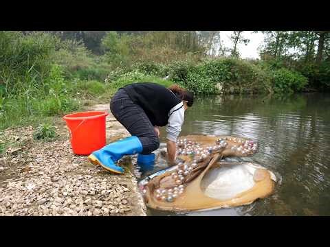 These are incredibly precious clams, filled with beautiful pearls.