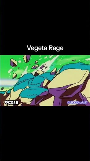 Every Version of Vegeta Rage!