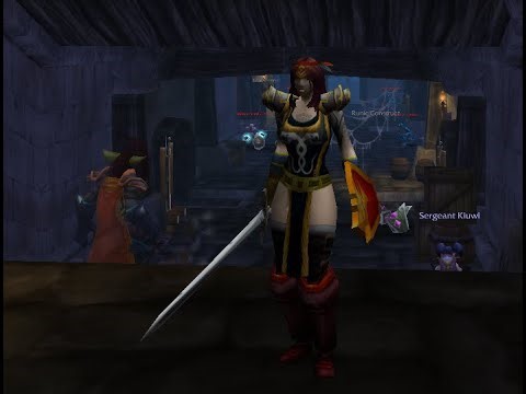 Turtle WoW - Today we playing Paladin!