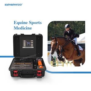 [Hot Item] Intelect Puls 20 Horses Treating Bone Injuries Electromagnetic Shock Wave Therapy Machine