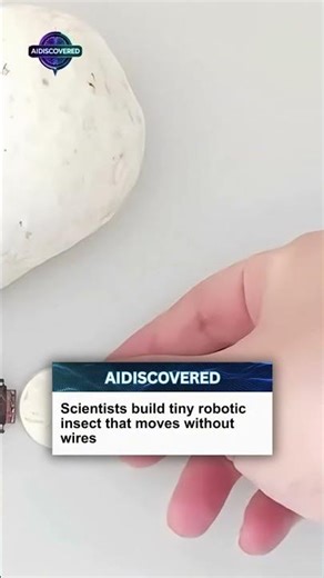 Scientists build tiny robotic insect that moves without wires