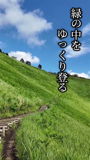 奈良に広がる、緑の世界。｜曽爾高原を歩く🌿