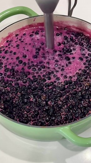 This 3 ingredient Jam is so so good. Garden Huckleberries make the best jam! Ingredients: 4 cups berries 1 cup honey or sugar of choice 1/3 cup Citrus Juice or enough to bring the pH down to 4.6 or below #huckleberries #gardenhuckleberryjam #gardenhuckleberries #jamrecipe #honey | The Zen Hen and The Honey Bee Farm
