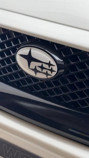 Snail Performance on Reels | Facebook