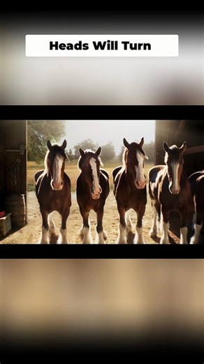 Budweiser Brings Back the Clydesdales to Launch Its Super Bowl LX Campaign