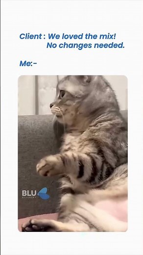 That Face When Your Mix Passes the Client Test — On the First Draft! | Blu Academy