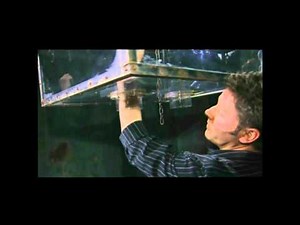 Saw 2 - The Hand Trap - BackStage - HD Video