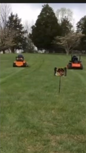 Scag Is Better Than BadBoy Mowers #shorts #mower #scag #badboy