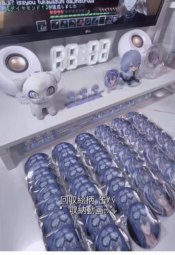 収納ケースを使った缶バッジの整理方法