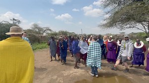 Here's a quick glimpse into our Maasai Village Immersion, a walk back in time to get to know a culture that has existed for hundreds of years. Did you know... Maasai are tall because of the rich calcium diet intake from animal products, particularly the mixture of blood and milk that they traditionally drink. Maasai men often reach up to 6-foot 3-inch and even seem taller when they are practicing their traditional jumping ceremonies. #MaasaiVillage #AfricanCulture #DiscoverAfrica | Adventure Out