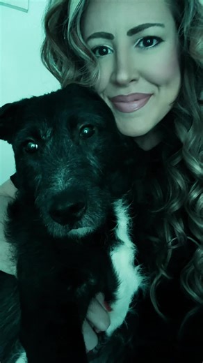 Heartwarming Moments with My Dog