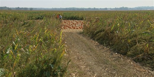 Newburgh farm starts first season of Fall family fun