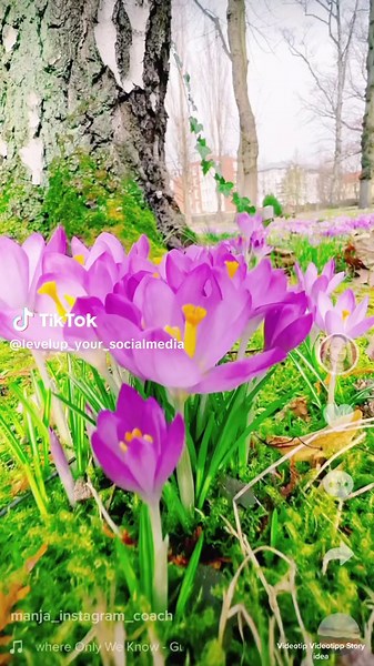 Videotip: Cooler Videoeffekt für deine Story