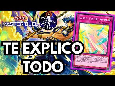 I READ ALL THE RADIANT TYPHOON CARDS SO YOU DON'T HAVE TO - Yu-Gi-Oh! Master Duel 2026